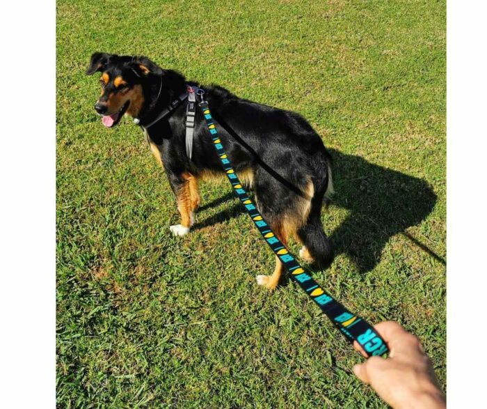I *heart* RCR Dog Lead - Image 2